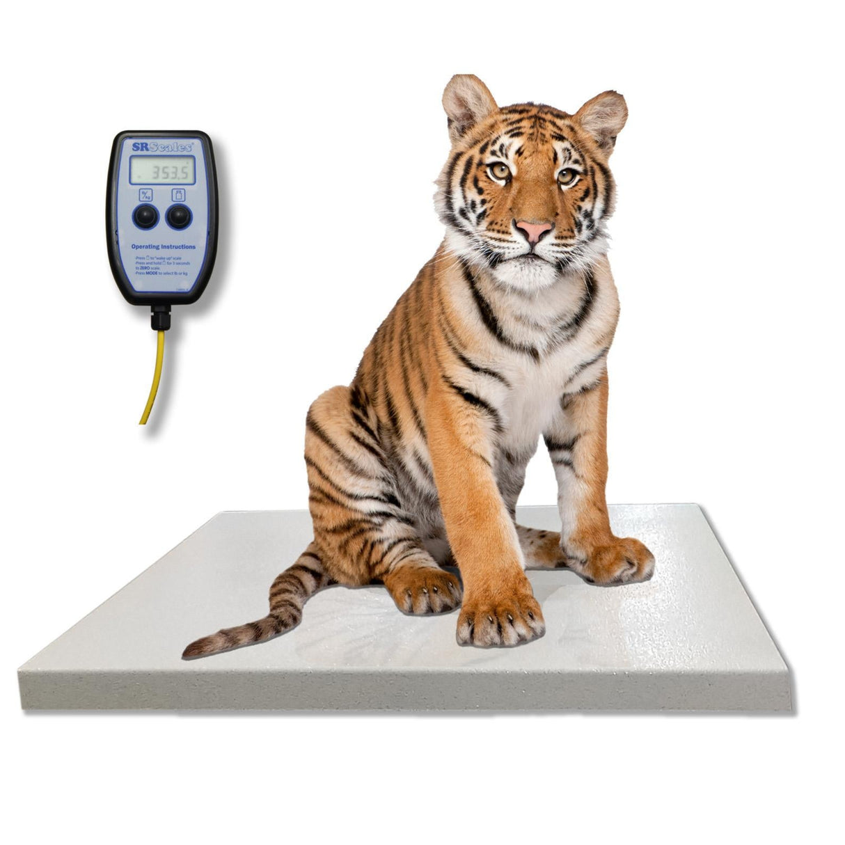 SRV711B Zoological Platform Scale