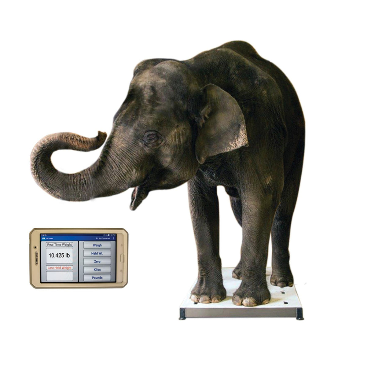 SRV714 Mobile Platform Scale