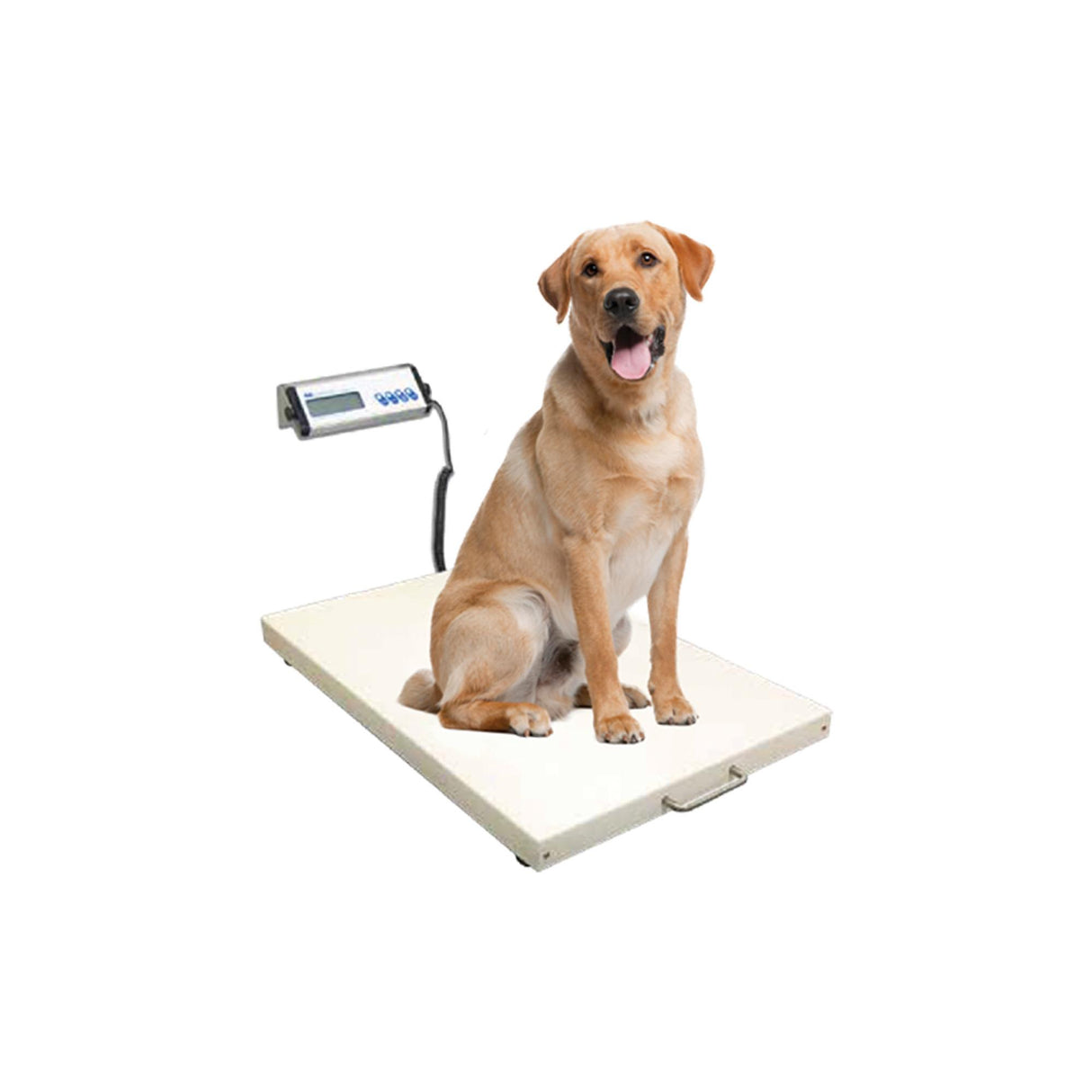 SRV942 Heavy Duty Portable Animal Scale